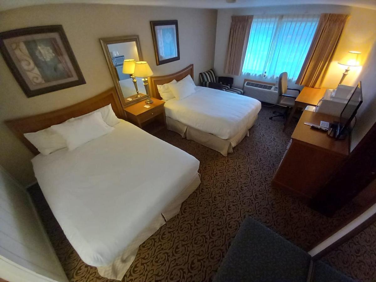 Lupine Inn Red Lodge Eksteriør billede