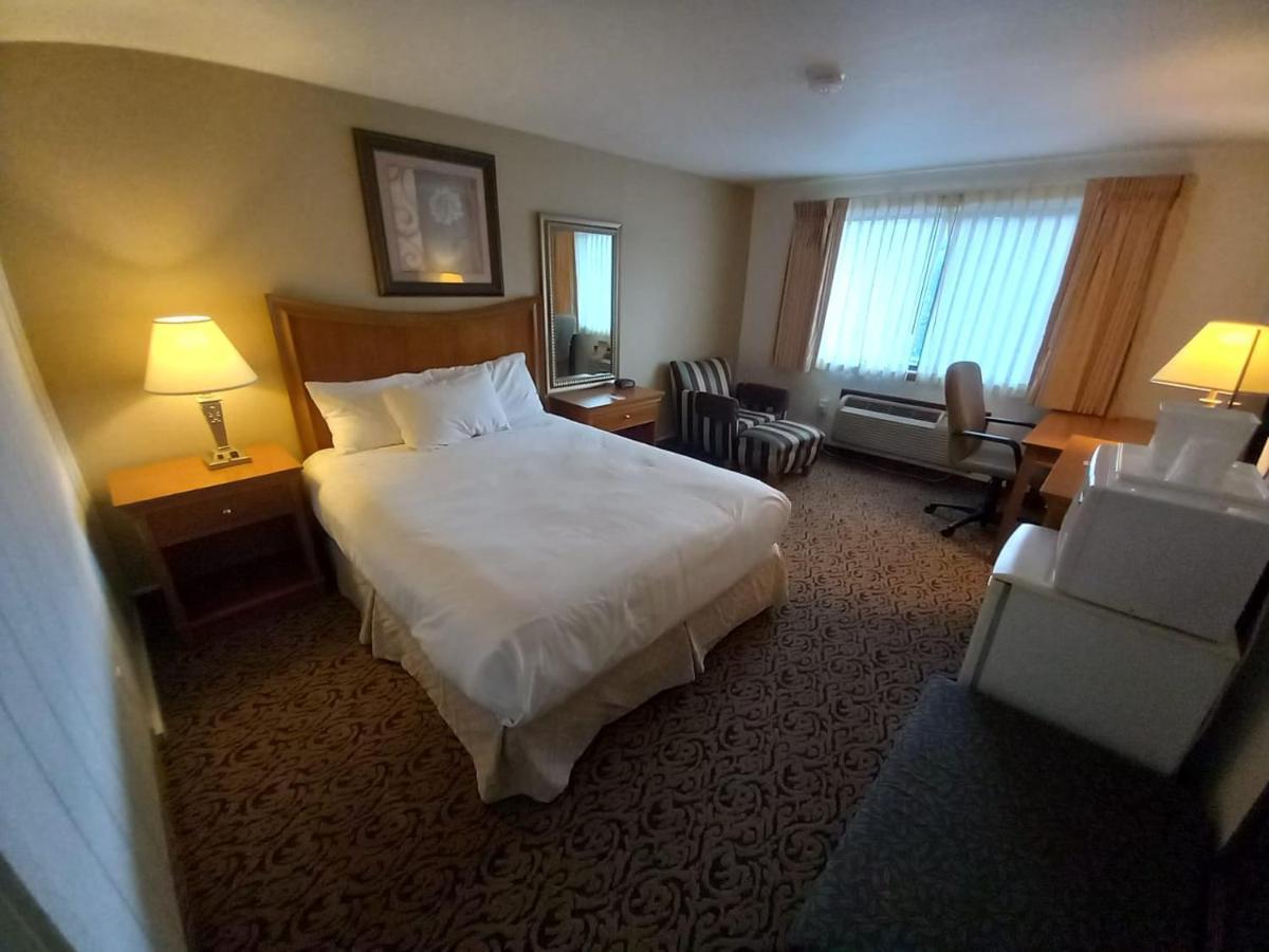Lupine Inn Red Lodge Eksteriør billede
